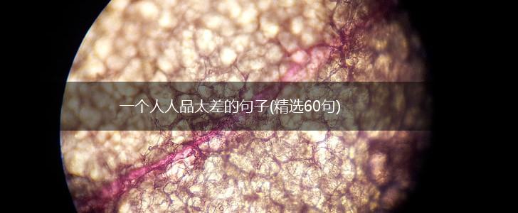 一个人人品太差的句子(精选60句),第1张
