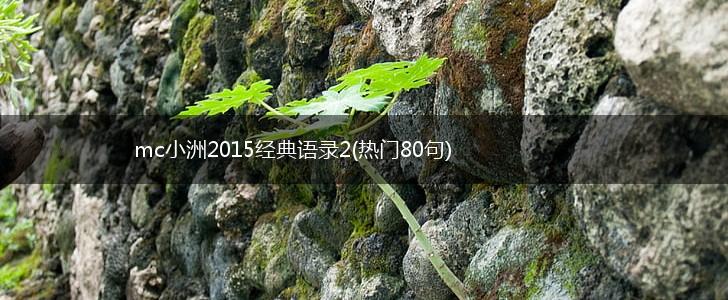 mc小洲2015经典语录2(热门80句),第1张