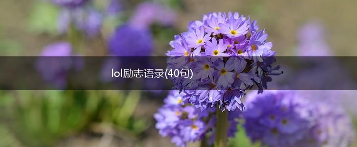 lol励志语录(40句),第1张