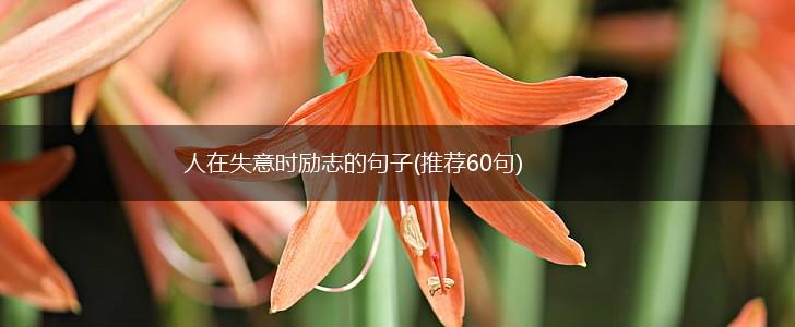 人在失意时励志的句子(推荐60句),第1张