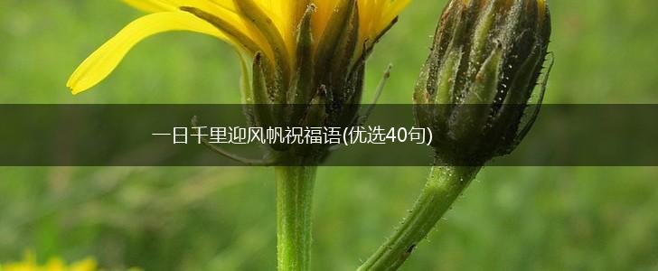 一日千里迎风帆祝福语(优选40句),第1张