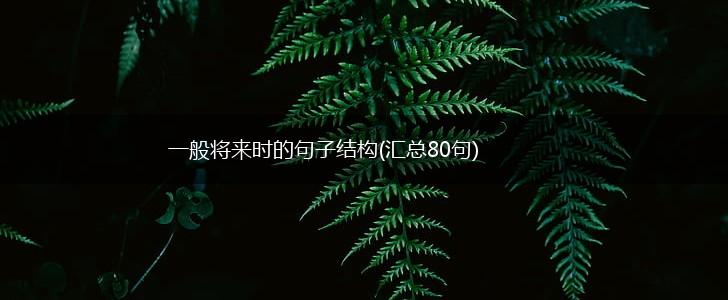 一般将来时的句子结构(汇总80句),第1张