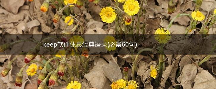 keep软件休息经典语录(必备60句),第1张