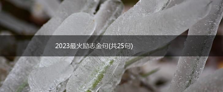 2023最火励志金句(共25句),第1张