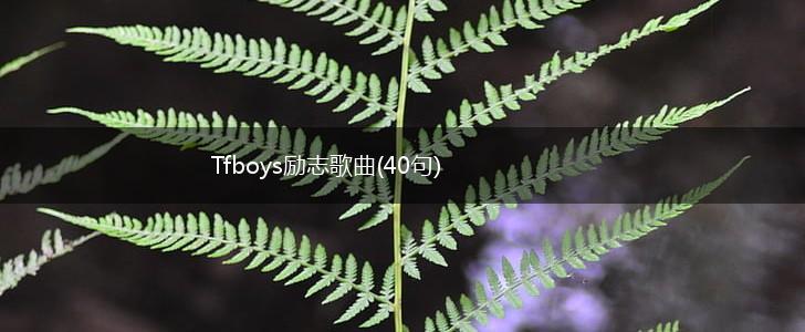Tfboys励志歌曲(40句),第1张