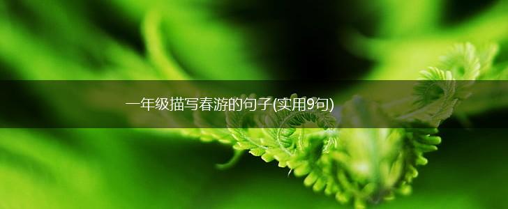一年级描写春游的句子(实用9句),第1张