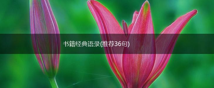 书籍经典语录(推荐36句),第1张