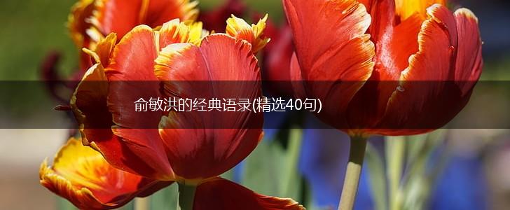 俞敏洪的经典语录(精选40句),第1张