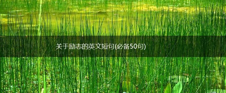 关于励志的英文短句(必备50句),第1张