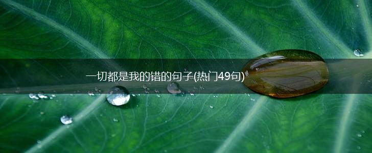 一切都是我的错的句子(热门49句),第1张