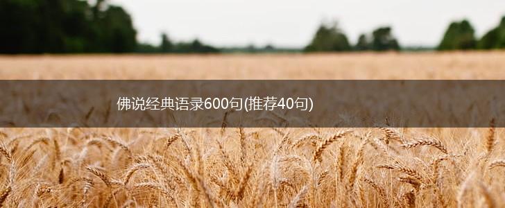 佛说经典语录600句(推荐40句),第1张