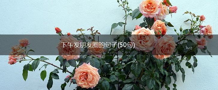 下午发朋友圈的句子(50句),第1张