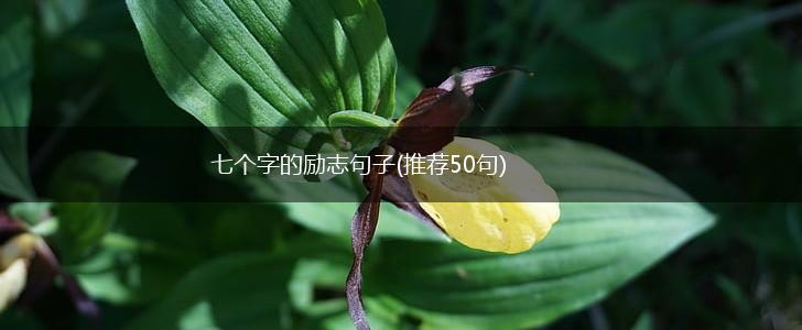 七个字的励志句子(推荐50句),第1张
