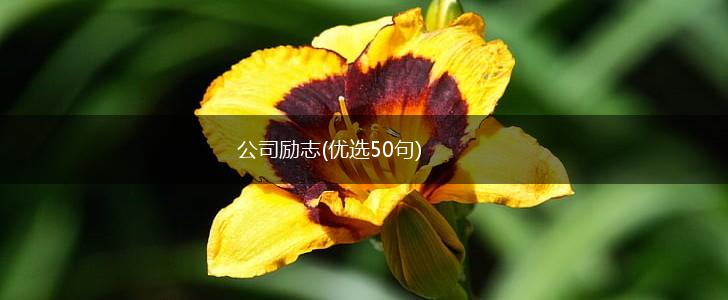 公司励志(优选50句),第1张