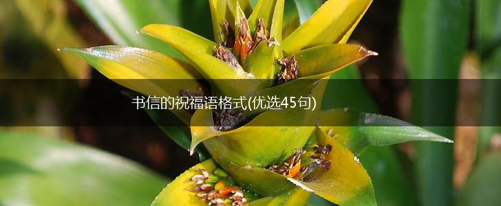 书信的祝福语格式(优选45句),第1张