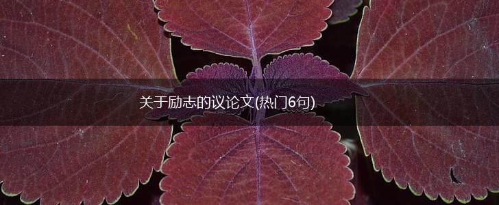关于励志的议论文(热门6句),第1张