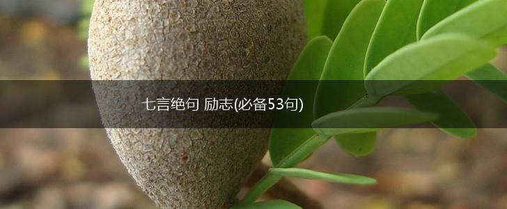 七言绝句 励志(必备53句),第1张