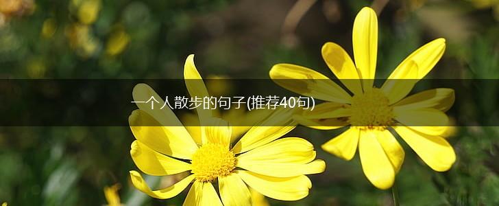 一个人散步的句子(推荐40句),第1张