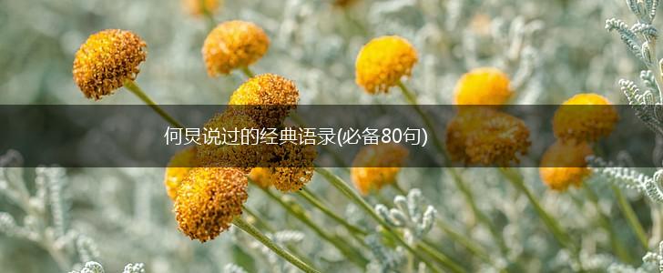 何炅说过的经典语录(必备80句),第1张