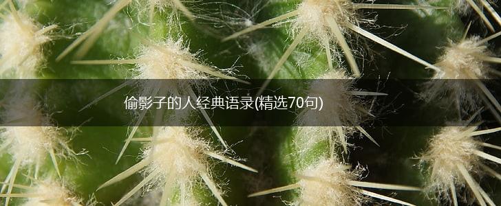 偷影子的人经典语录(精选70句),第1张