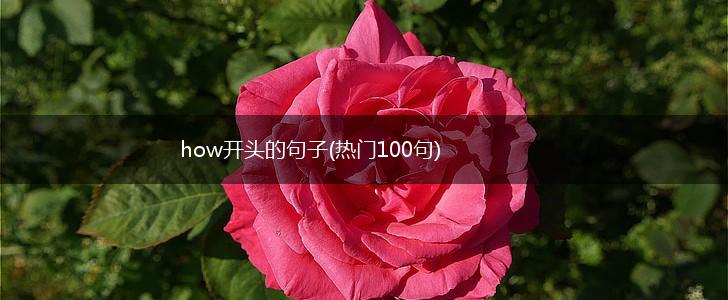 how开头的句子(热门100句),第1张