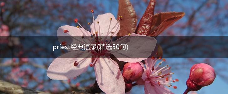 priest经典语录(精选50句),第1张