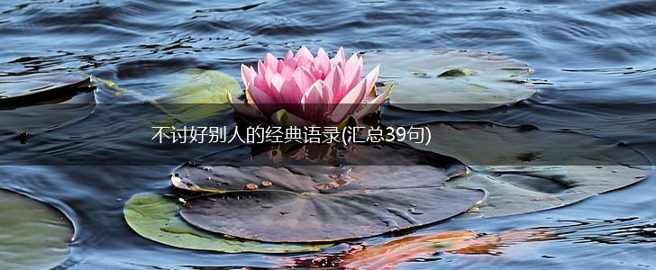 不讨好别人的经典语录(汇总39句),第1张