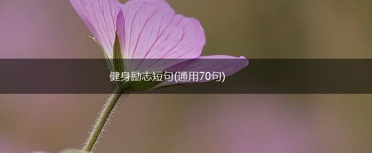 健身励志短句(通用70句),第1张