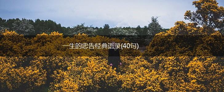一生的忠告经典语录(40句),第1张