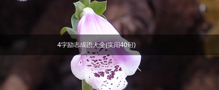 4字励志成语大全(实用40句),第1张