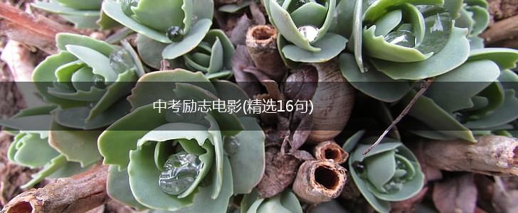 中考励志电影(精选16句),第1张