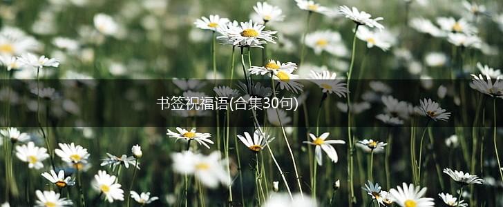 书签祝福语(合集30句),第1张