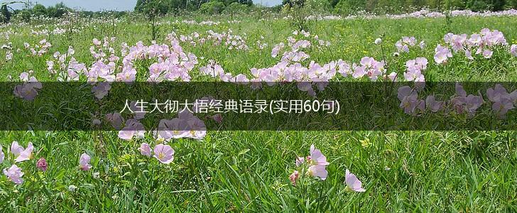 人生大彻大悟经典语录(实用60句),第1张