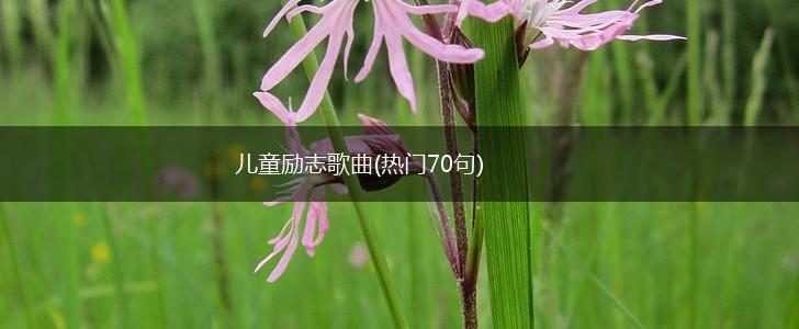 儿童励志歌曲(热门70句),第1张