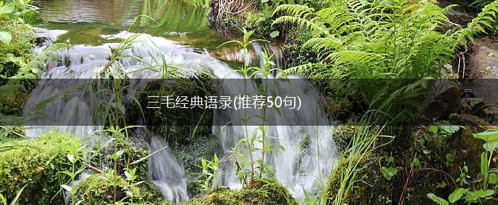 三毛经典语录(推荐50句),第1张
