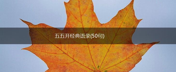 五五开经典语录(50句),第1张