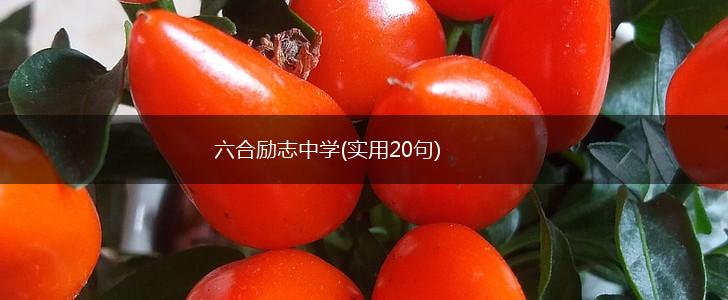 六合励志中学(实用20句),第1张