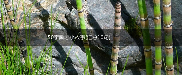 50字励志小故事(汇总10句),第1张