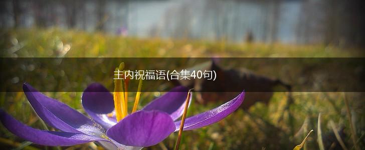 主内祝福语(合集40句),第1张