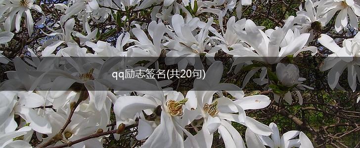 qq励志签名(共20句),第1张