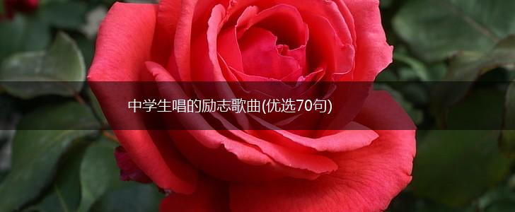 中学生唱的励志歌曲(优选70句),第1张