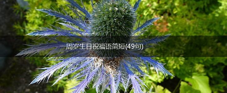 一周岁生日祝福语简短(49句),第1张