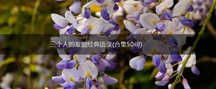 三个人的友谊经典语录(合集50句),第1张