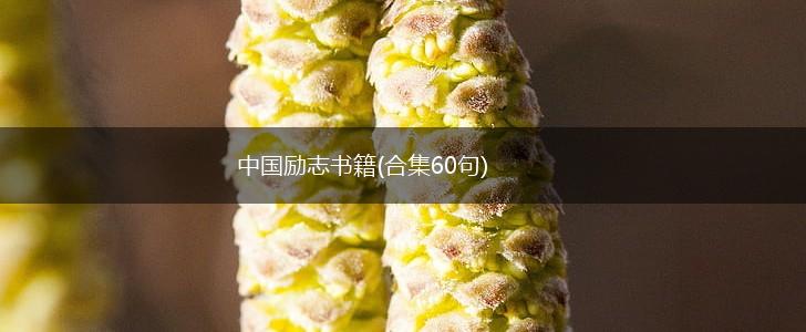 中国励志书籍(合集60句),第1张