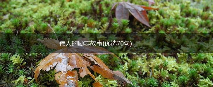伟人的励志故事(优选70句),第1张