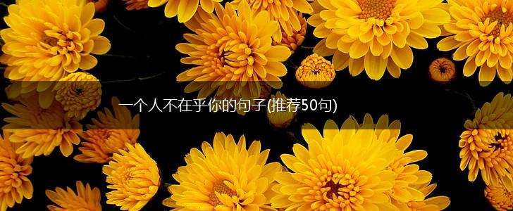 一个人不在乎你的句子(推荐50句),第1张