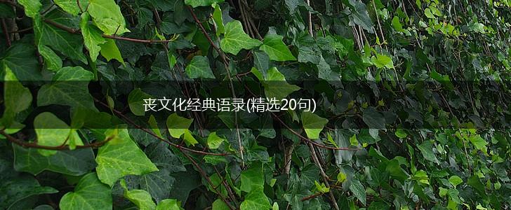 丧文化经典语录(精选20句),第1张