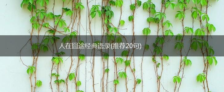 人在囧途经典语录(推荐20句),第1张