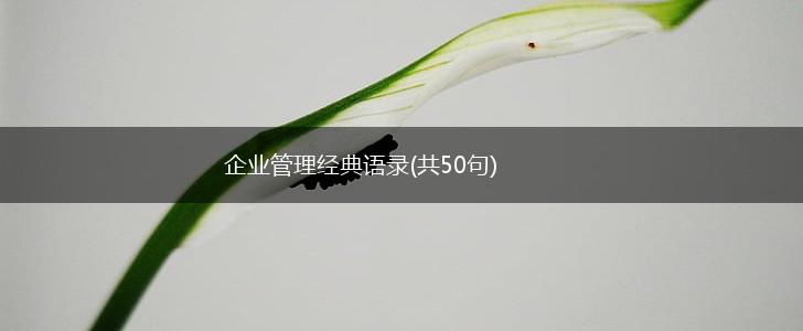 企业管理经典语录(共50句),第1张