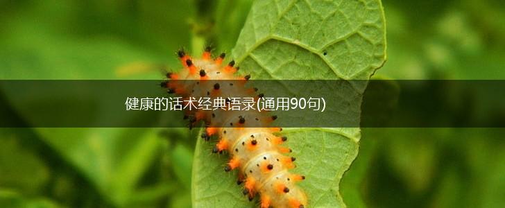 健康的话术经典语录(通用90句),第1张
